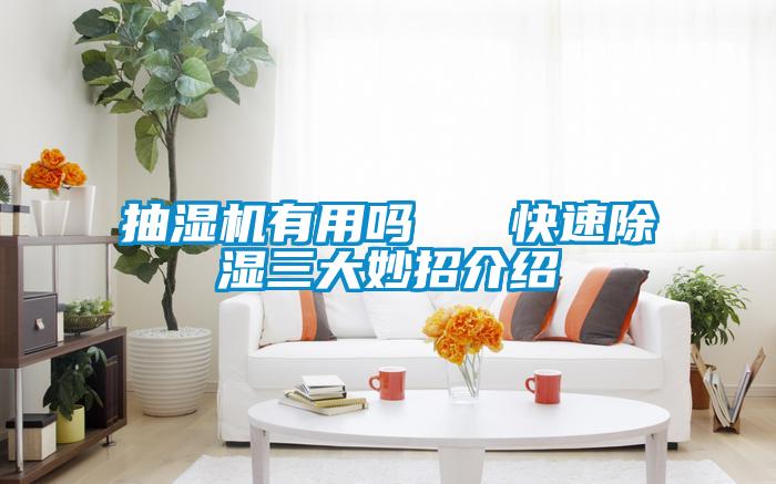 抽濕機(jī)有用嗎   快速除濕三大妙招介紹