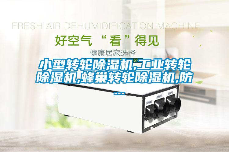 小型轉(zhuǎn)輪除濕機,工業(yè)轉(zhuǎn)輪除濕機,蜂巢轉(zhuǎn)輪除濕機,防 ...