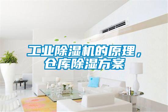 工業(yè)除濕機(jī)的原理，倉(cāng)庫(kù)除濕方案