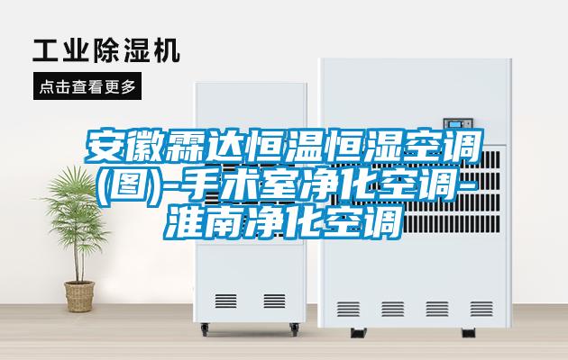 安徽霖達恒溫恒濕空調(diào)(圖)-手術(shù)室凈化空調(diào)-淮南凈化空調(diào)