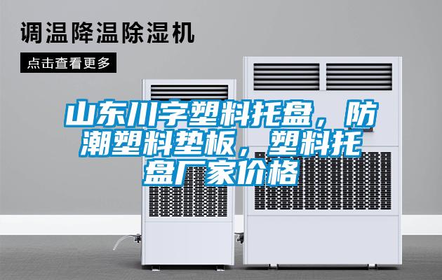 山東川字塑料托盤(pán)，防潮塑料墊板，塑料托盤(pán)廠家價(jià)格