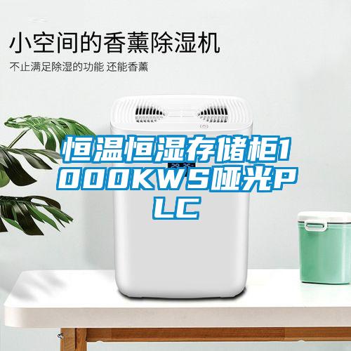 恒溫恒濕存儲(chǔ)柜1000KWS啞光PLC