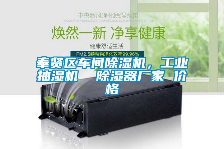 奉賢區(qū)車間除濕機，工業(yè)抽濕機  除濕器廠家 價格