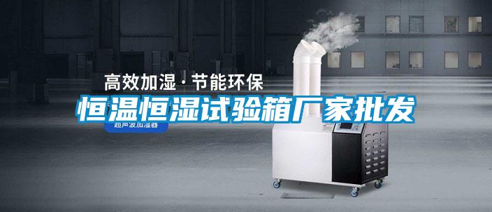 恒溫恒濕試驗(yàn)箱廠家批發(fā)
