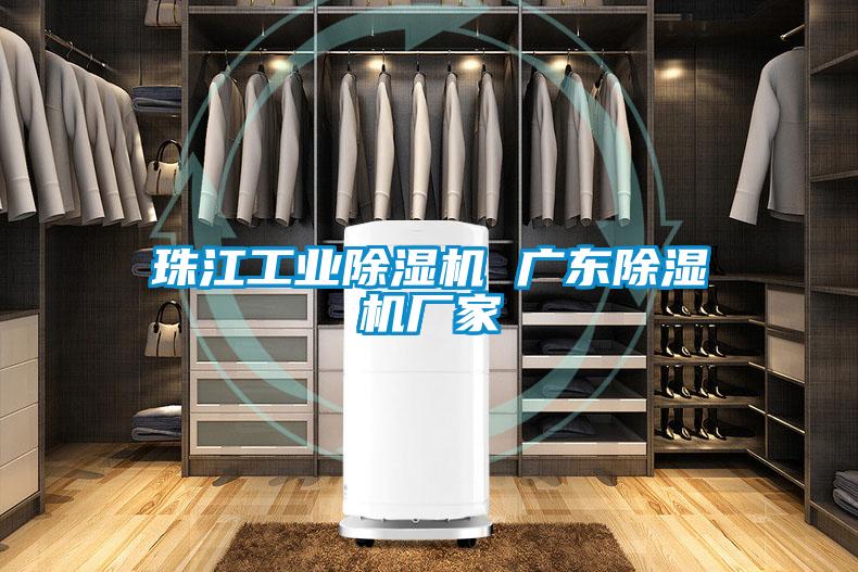 珠江工業(yè)除濕機 廣東除濕機廠家