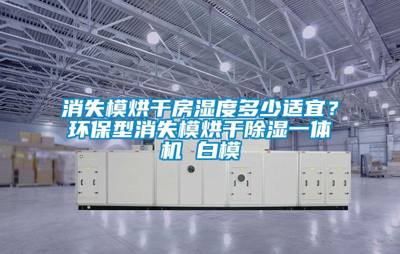 消失模烘干房濕度多少適宜？環(huán)保型消失模烘干除濕一體機 白模