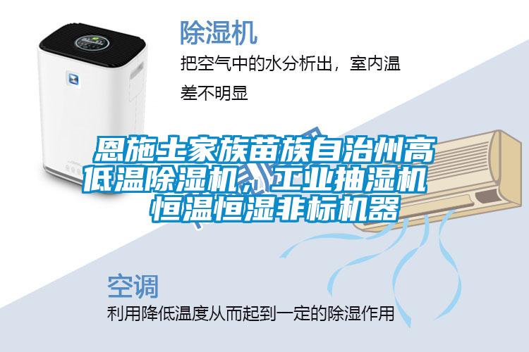 恩施土家族苗族自治州高低溫除濕機(jī)，工業(yè)抽濕機(jī)  恒溫恒濕非標(biāo)機(jī)器