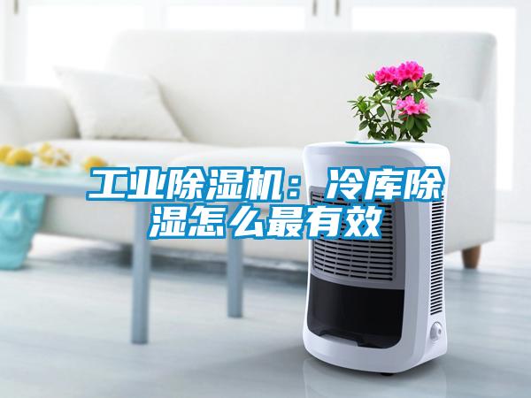 工業(yè)除濕機(jī)：冷庫除濕怎么最有效