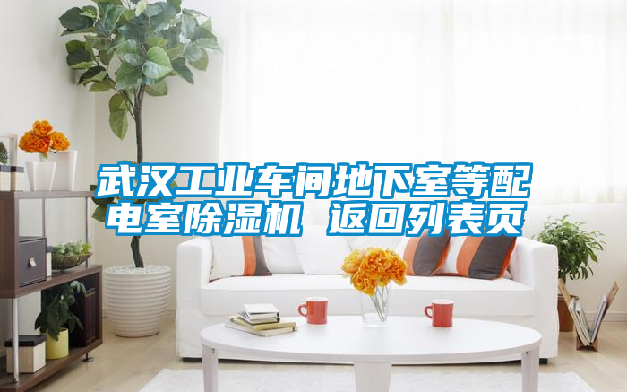 武漢工業(yè)車間地下室等配電室除濕機 返回列表頁