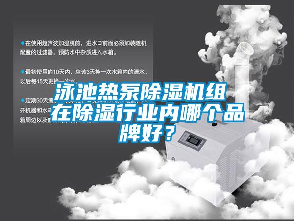 泳池?zé)岜贸凉駲C(jī)組 在除濕行業(yè)內(nèi)哪個(gè)品牌好？