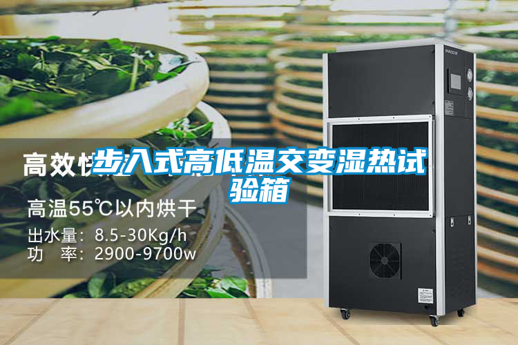 步入式高低溫交變濕熱試驗箱