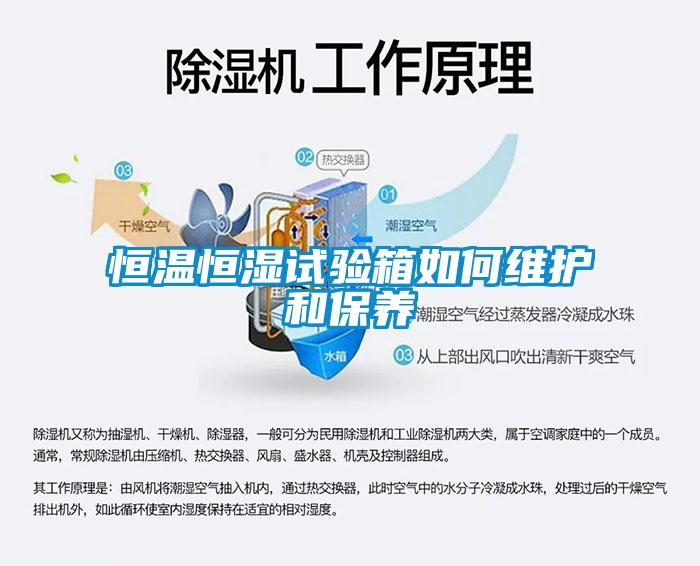 恒溫恒濕試驗箱如何維護和保養(yǎng)