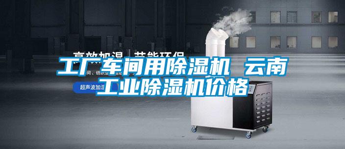 工廠車(chē)間用除濕機(jī) 云南工業(yè)除濕機(jī)價(jià)格