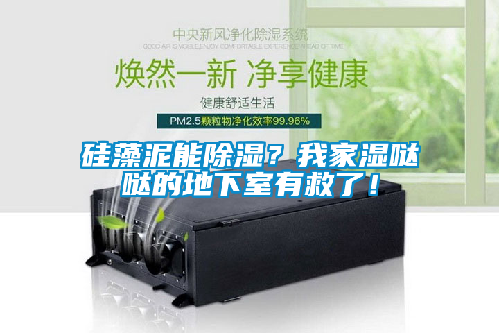 硅藻泥能除濕？我家濕噠噠的地下室有救了！