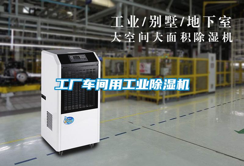 工廠車(chē)間用工業(yè)除濕機(jī)