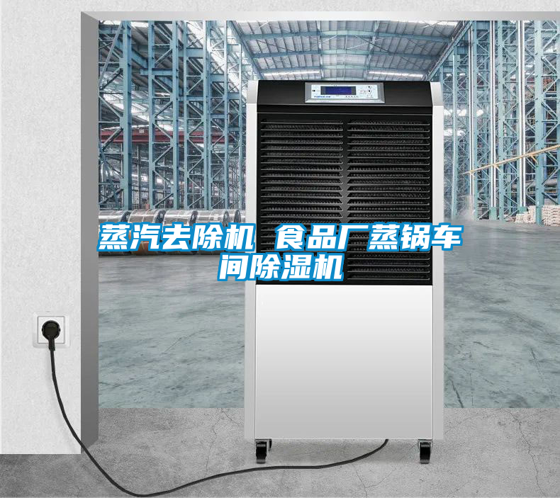 蒸汽去除機(jī) 食品廠(chǎng)蒸鍋車(chē)間除濕機(jī)