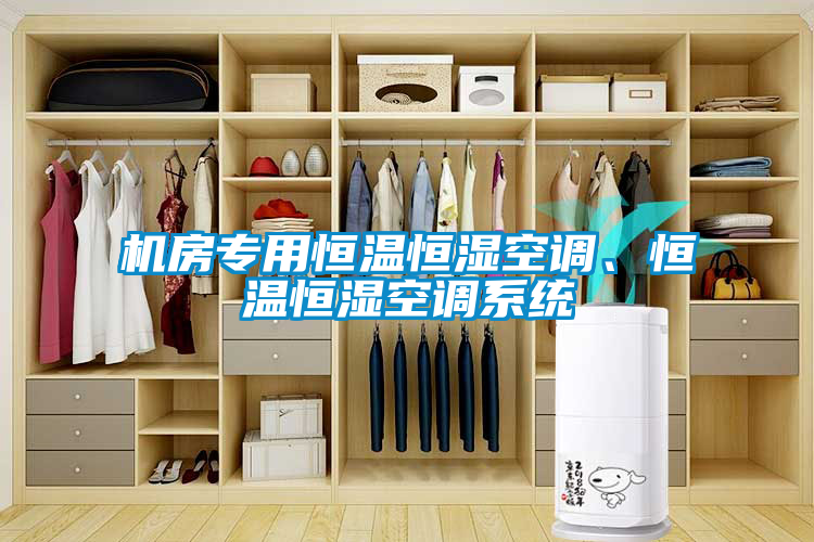 機(jī)房專用恒溫恒濕空調(diào)、恒溫恒濕空調(diào)系統(tǒng)