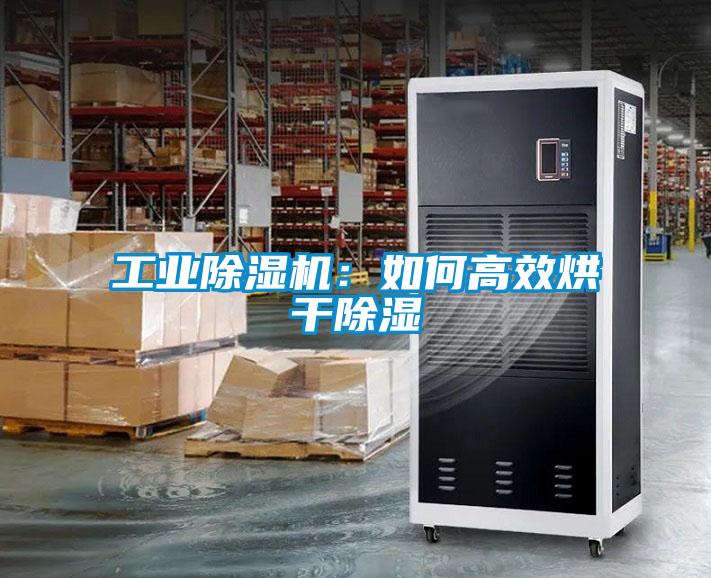 工業(yè)除濕機(jī)：如何高效烘干除濕