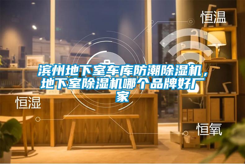 濱州地下室車(chē)庫(kù)防潮除濕機(jī)，地下室除濕機(jī)哪個(gè)品牌好廠家