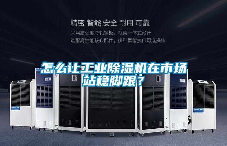怎么讓工業(yè)除濕機(jī)在市場(chǎng)站穩(wěn)腳跟？