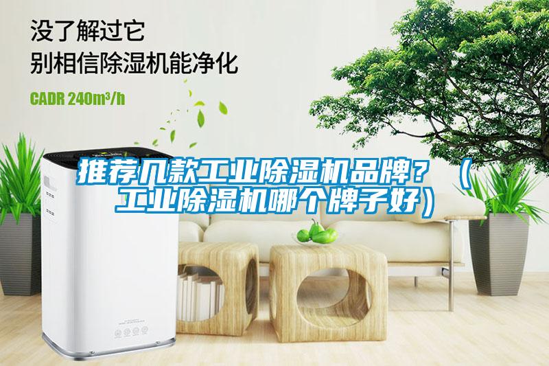 推薦幾款工業(yè)除濕機品牌？（工業(yè)除濕機哪個牌子好）