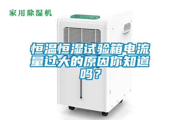 恒溫恒濕試驗(yàn)箱電流量過(guò)大的原因你知道嗎？