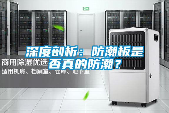 深度剖析：防潮板是否真的防潮？