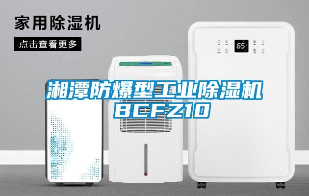湘潭防爆型工業(yè)除濕機 BCFZ10