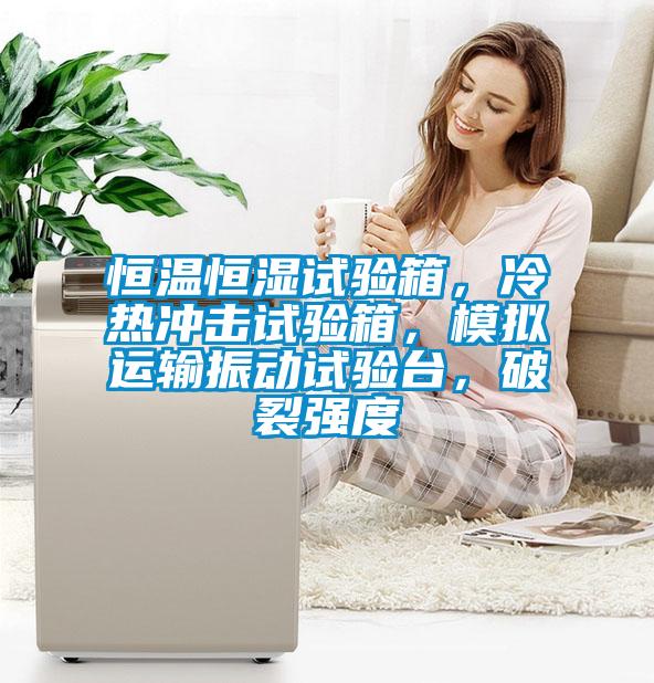 恒溫恒濕試驗(yàn)箱，冷熱沖擊試驗(yàn)箱，模擬運(yùn)輸振動(dòng)試驗(yàn)臺(tái)，破裂強(qiáng)度