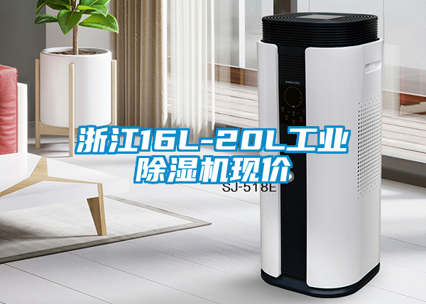 浙江16L-20L工業(yè)除濕機(jī)現(xiàn)價(jià)