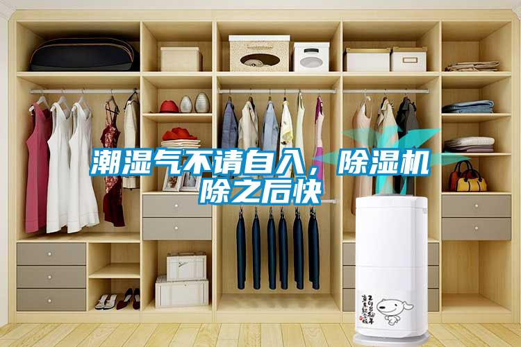 潮濕氣不請自入，除濕機除之后快