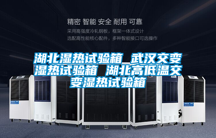 湖北濕熱試驗(yàn)箱 武漢交變濕熱試驗(yàn)箱 湖北高低溫交變濕熱試驗(yàn)箱