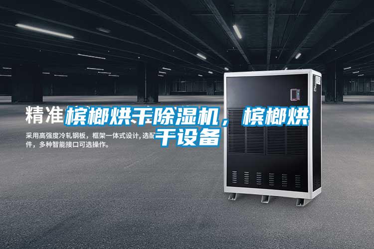 檳榔烘干除濕機(jī)，檳榔烘干設(shè)備