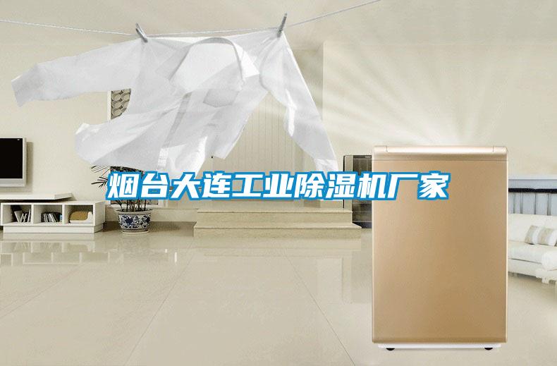 煙臺(tái)大連工業(yè)除濕機(jī)廠(chǎng)家