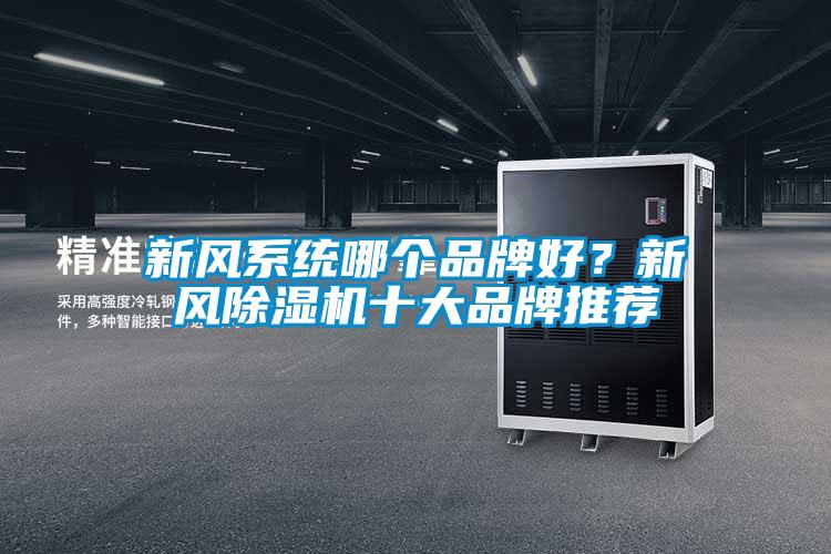 新風(fēng)系統(tǒng)哪個品牌好？新風(fēng)除濕機(jī)十大品牌推薦