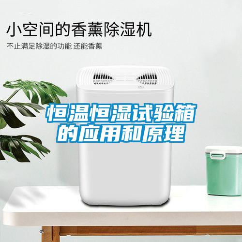 恒溫恒濕試驗箱的應(yīng)用和原理