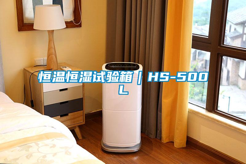 恒溫恒濕試驗箱｜HS-500L