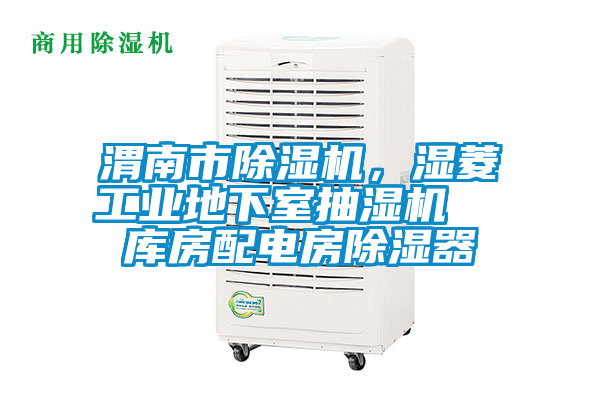 渭南市除濕機(jī)，濕菱工業(yè)地下室抽濕機(jī)  庫房配電房除濕器