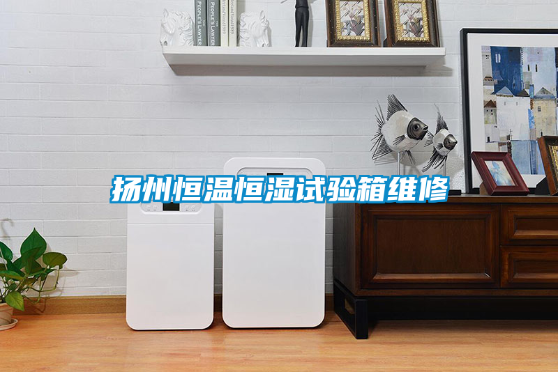 揚(yáng)州恒溫恒濕試驗(yàn)箱維修