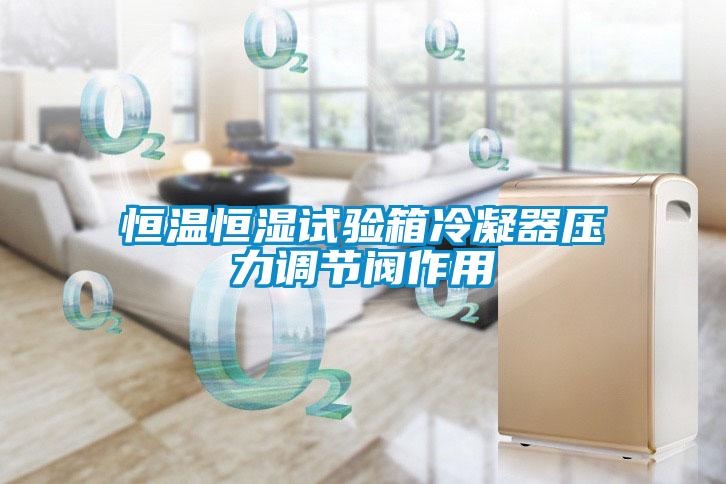 恒溫恒濕試驗(yàn)箱冷凝器壓力調(diào)節(jié)閥作用