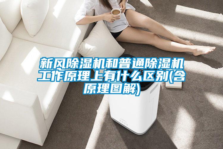 新風除濕機和普通除濕機工作原理上有什么區(qū)別(含原理圖解)