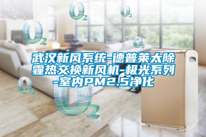 武漢新風系統(tǒng)-德普萊太除霾熱交換新風機-極光系列-室內(nèi)PM2.5凈化