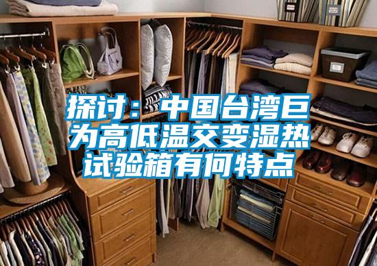 探討：中國臺灣巨為高低溫交變濕熱試驗箱有何特點