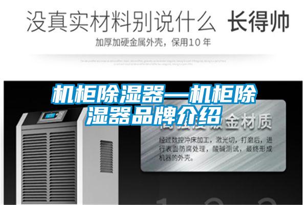 機(jī)柜除濕器—機(jī)柜除濕器品牌介紹