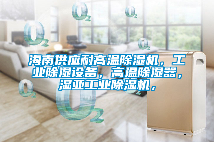 海南供應(yīng)耐高溫除濕機(jī)，工業(yè)除濕設(shè)備，高溫除濕器，濕亞工業(yè)除濕機(jī)，
