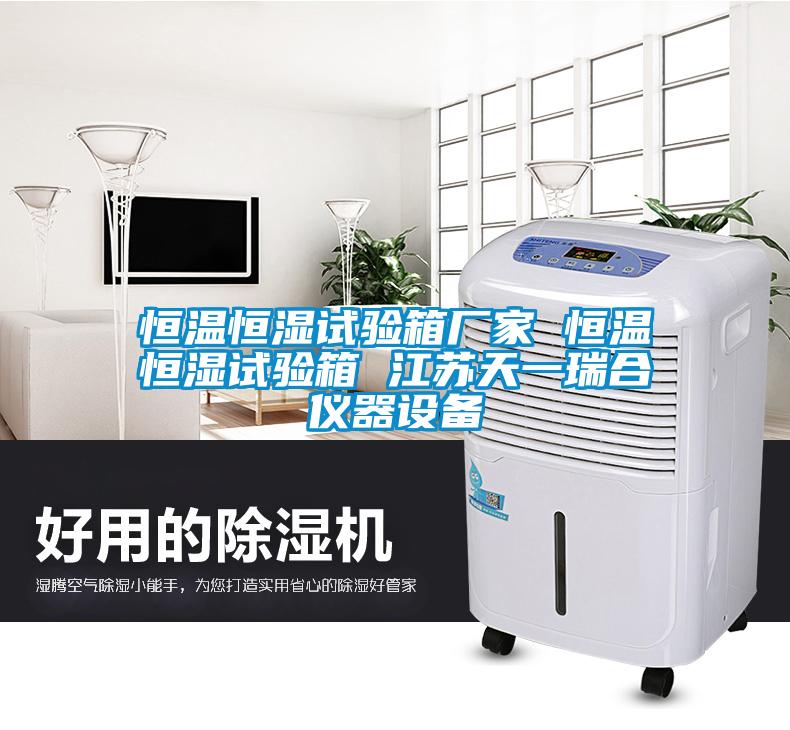 恒溫恒濕試驗(yàn)箱廠家 恒溫恒濕試驗(yàn)箱 江蘇天一瑞合儀器設(shè)備