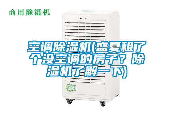空調(diào)除濕機(jī)(盛夏租了個(gè)沒(méi)空調(diào)的房子？除濕機(jī)了解一下)