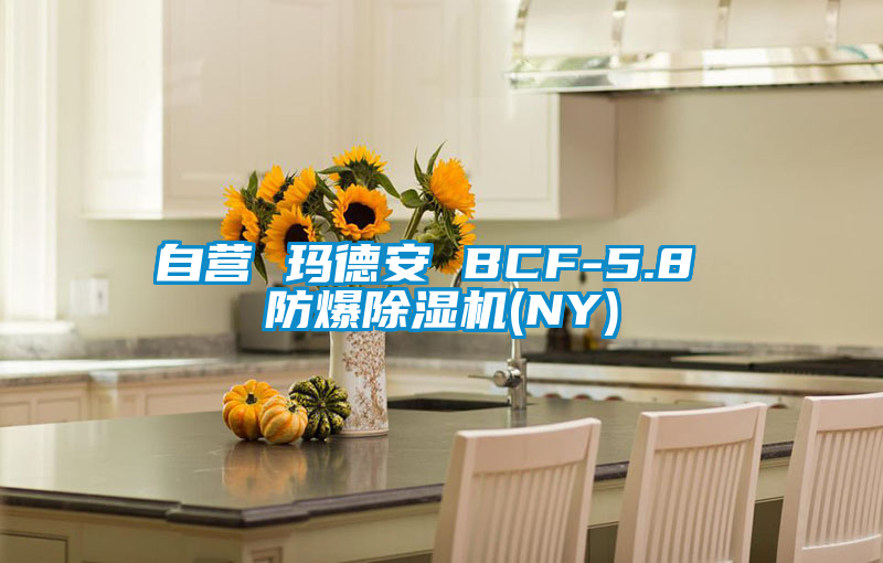 自營(yíng) 瑪?shù)掳?BCF-5.8 防爆除濕機(jī)(NY)