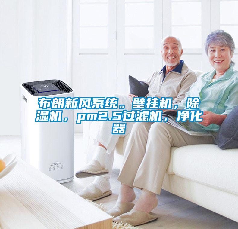 布朗新風(fēng)系統(tǒng)。壁掛機(jī)，除濕機(jī)，pm2.5過(guò)濾機(jī)，凈化器