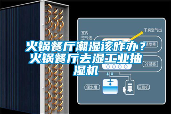 火鍋餐廳潮濕該咋辦？火鍋餐廳去濕工業(yè)抽濕機(jī)